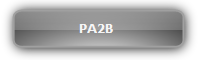 PA2B :: Mini Amplifier(Class D), with MIC mixer เครื่องขยายเสียงคลาสดีขนาดเล็ก พร้อมช่องผสมสัญญาณจากไมโครโฟน