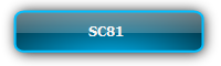 SC81 เครื่องเลือกสัญญาณภาพหลายชนิด 8 ช่องเข้า ออก 1 HDMI
