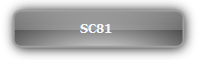 SC81 เครื่องเลือกสัญญาณภาพหลายชนิด 8 ช่องเข้า ออก 1 HDMI